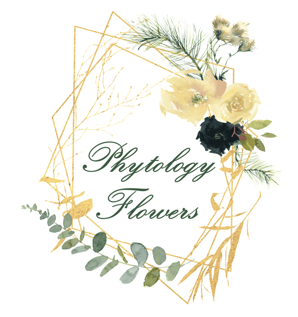 Phytology Flowers