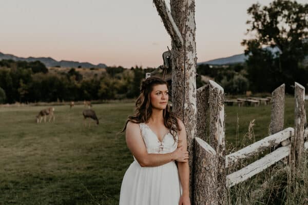 Western Pine Photography