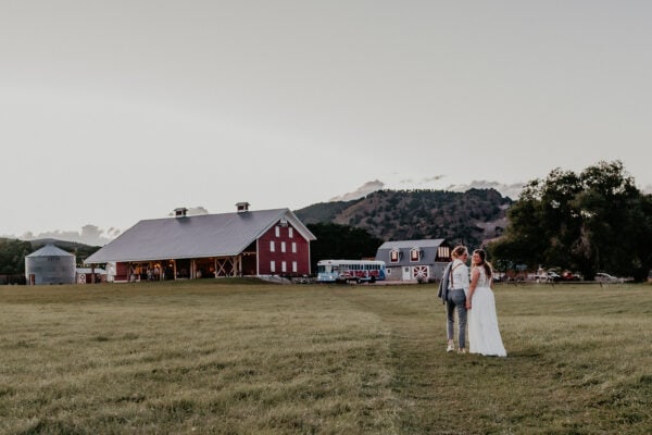 Western Pine Photography